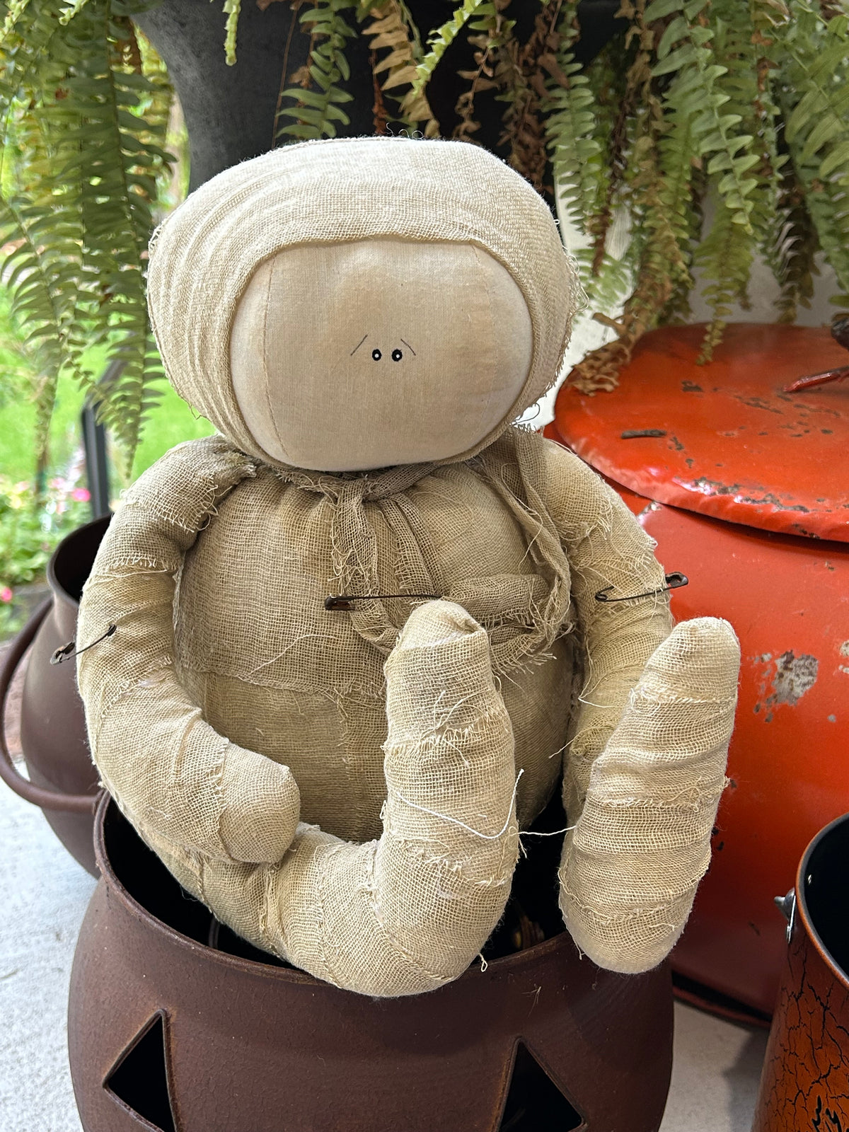 Mr. Rags