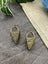 The Dallas Earrings