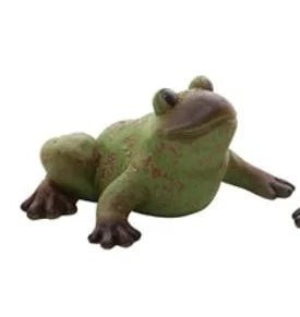 Garden Frogs - Assorted Positions