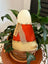 The Hello Fall Candy Corn - Assorted Sizes