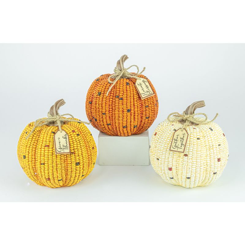 Field Corn Pumpkins -   Assorted Sizes & Colors