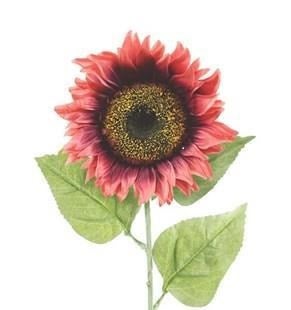 Large Sunflowers - Assorted Colors