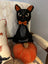 Spooky Kitty