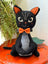 Spooky Kitty