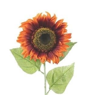 Large Sunflowers - Assorted Colors